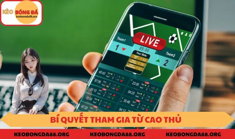 Bí quyết tham gia từ cao thủ