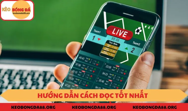 Hướng dẫn cách đọc tốt nhất