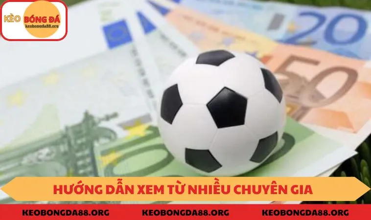 Hướng dẫn xem từ nhiều chuyên gia