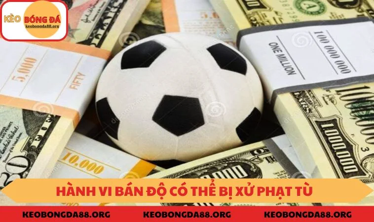 Hành vi bán độ có thể bị xử phạt tù