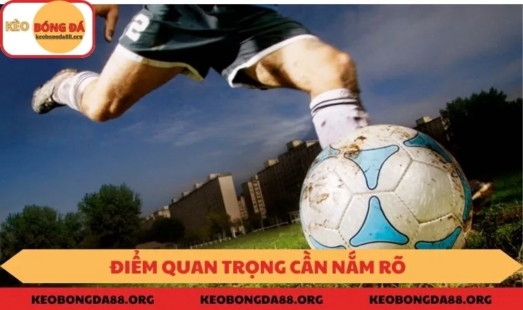 Lưu ý khi tham gia chơi