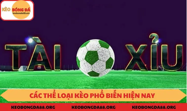 Các loại kèo cá độ bóng đá phổ biến hiện nay