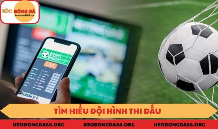 Tìm hiểu và phân tích thông tin chi tiết