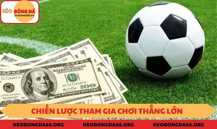 Kinh nghiệm được chia sẻ từ các chuyên gia 