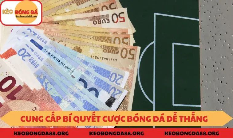 Cung cấp các bí quyết cược bóng đá dễ thắng