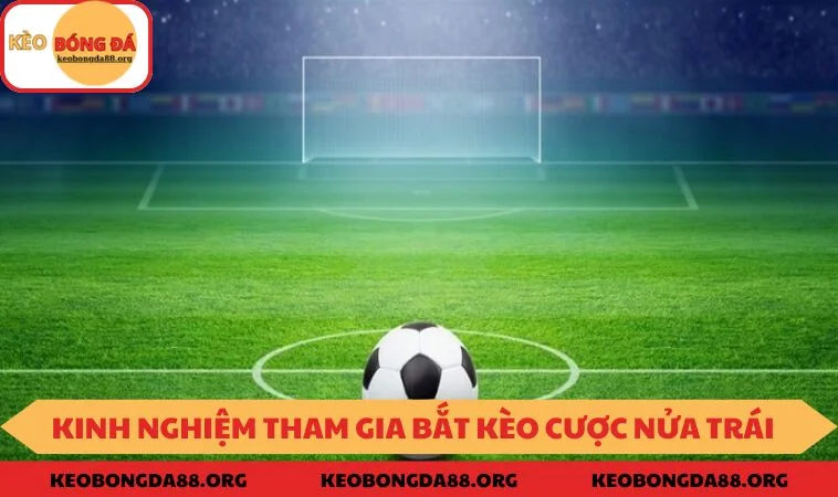 Kinh nghiệm tham gia bắt kèo cược nửa trái hiệu quả nhất từ chuyên gia