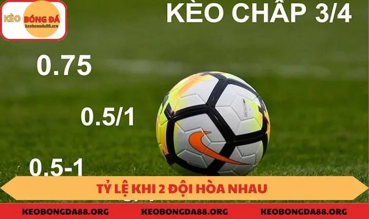 Trường hợp đội hình hòa