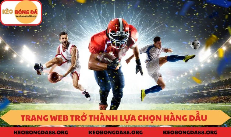 Trang web trở thành lựa chọn hàng đầu của hàng ngàn người