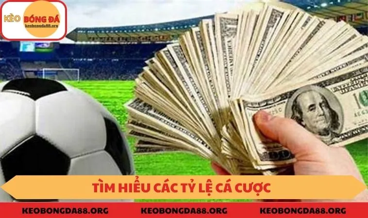 Thông tin cơ bản về tỷ lệ kèo